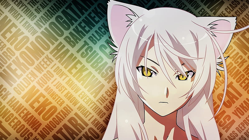 Nekomonogatari (Kuro)